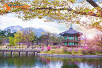 TOUR DU LỊCH HÀN QUỐC – XỨ SỞ KIM CHI (6N5Đ)